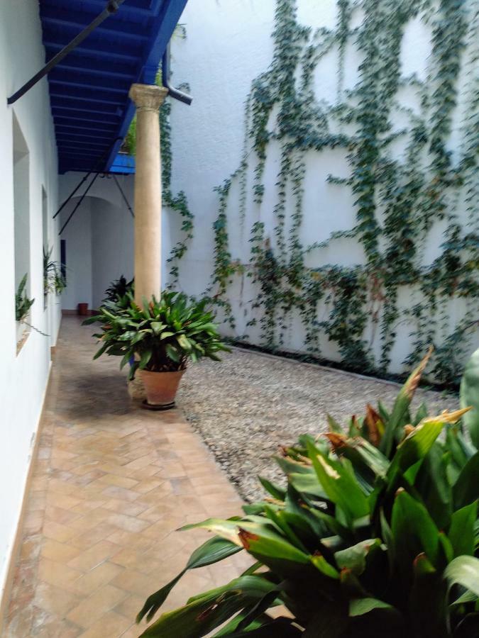 Wish Suite Juderia De Sevilla Экстерьер фото